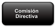 Comisin  Directiva