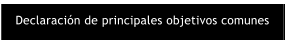 Declaracin de principales objetivos comunes