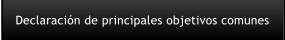 Declaracin de principales objetivos comunes